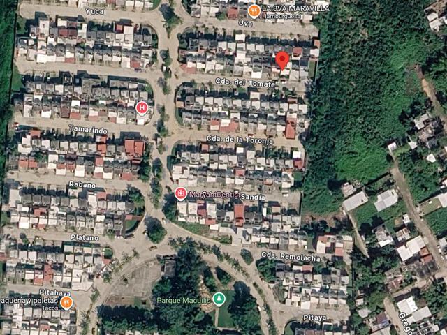 place photo 19