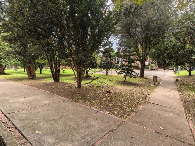 place photo 39
