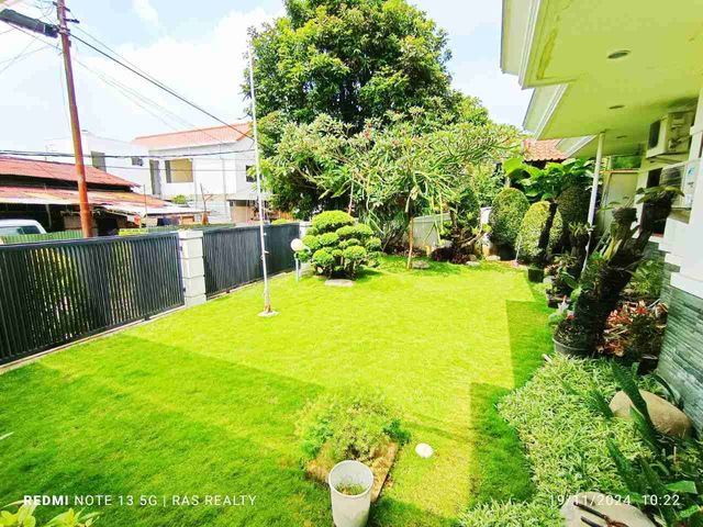 place photo 17