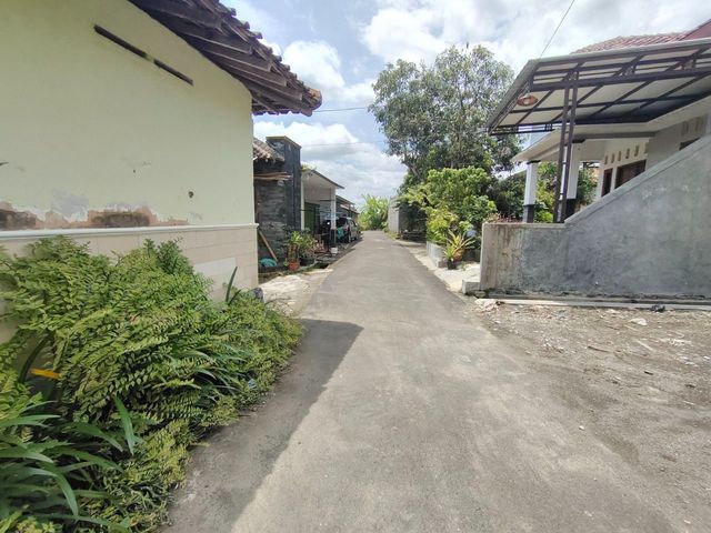 place photo 15