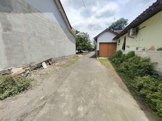 place photo 14
