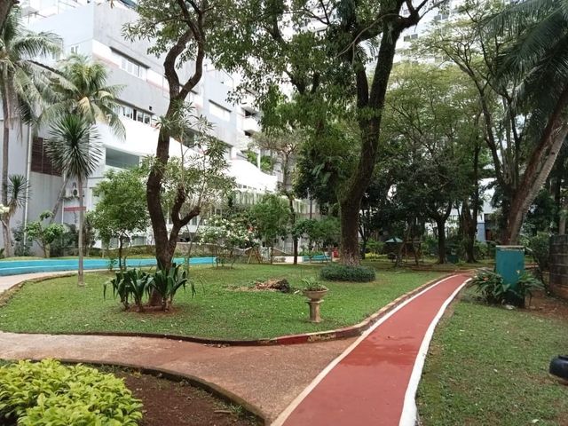 place photo 11
