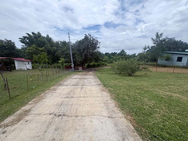place photo 44