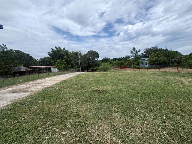 place photo 48