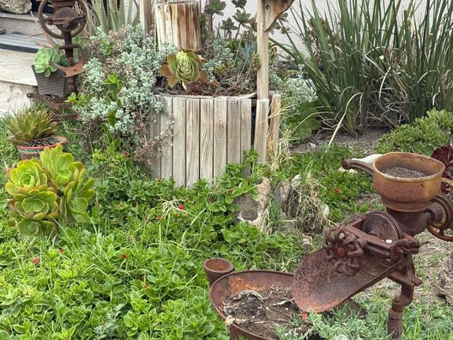 place photo 38
