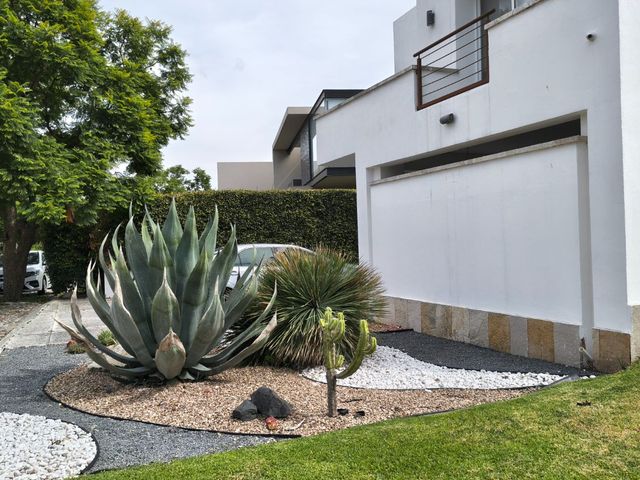 place photo 66