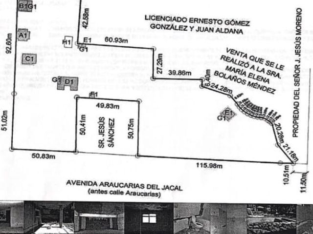 place photo 13