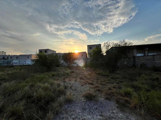 place photo 46