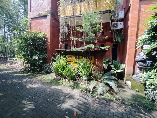 place photo 21