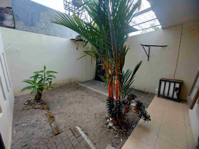 place photo 36