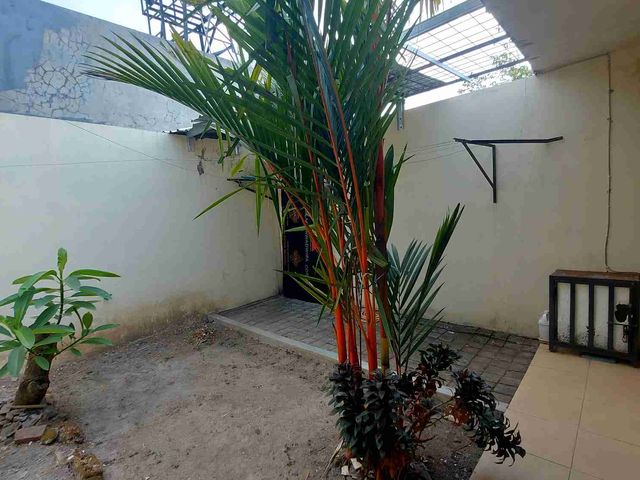 place photo 37