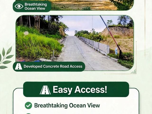 OVERLOOKING LOT FOR SALE IN TAGPOPONGAN , SAMAL ISLAND LAND