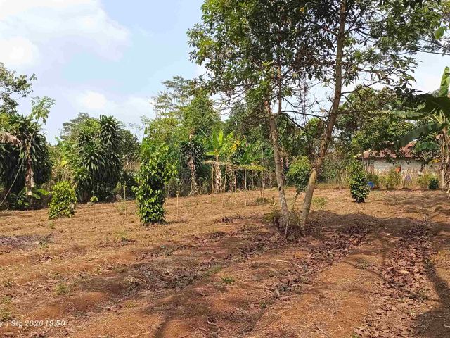 place photo 17