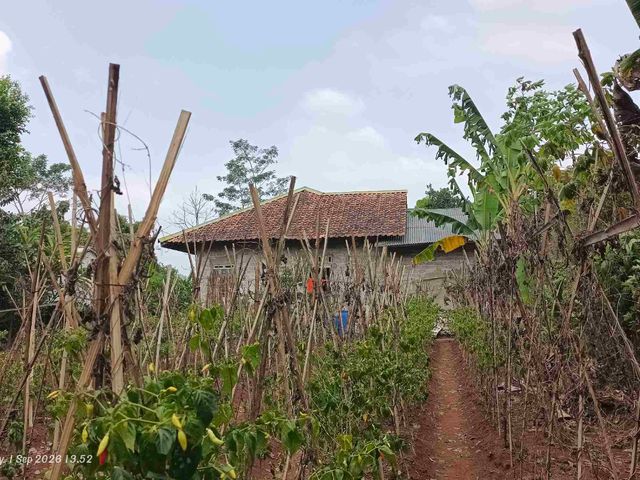 place photo 18