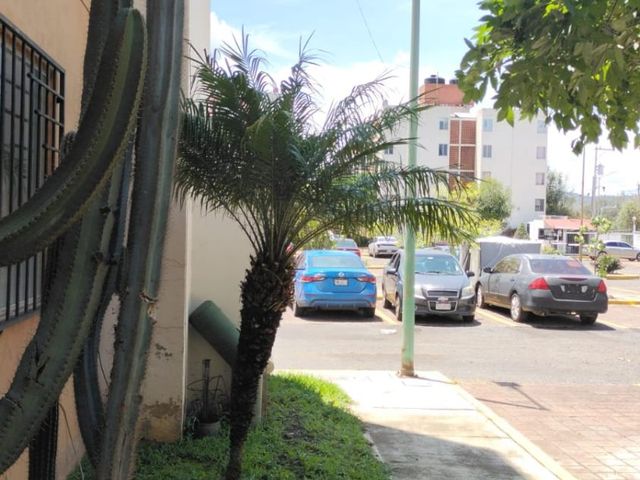 place photo 29