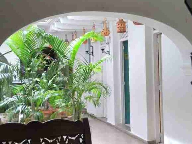 place photo 23