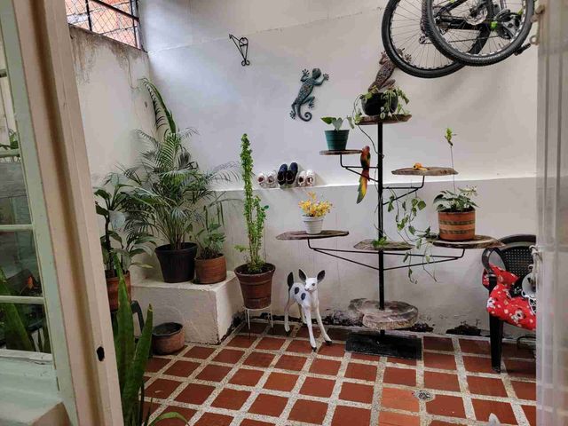 place photo 14
