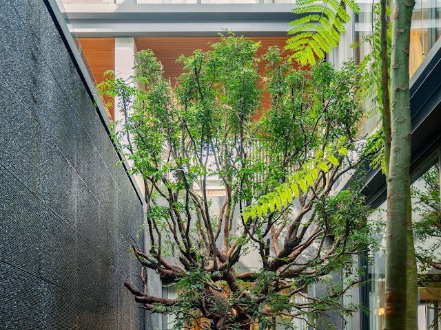 place photo 51