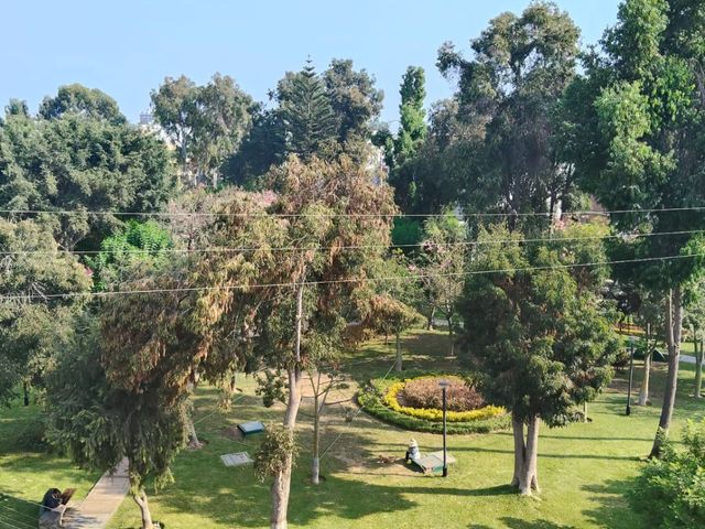 place photo 39