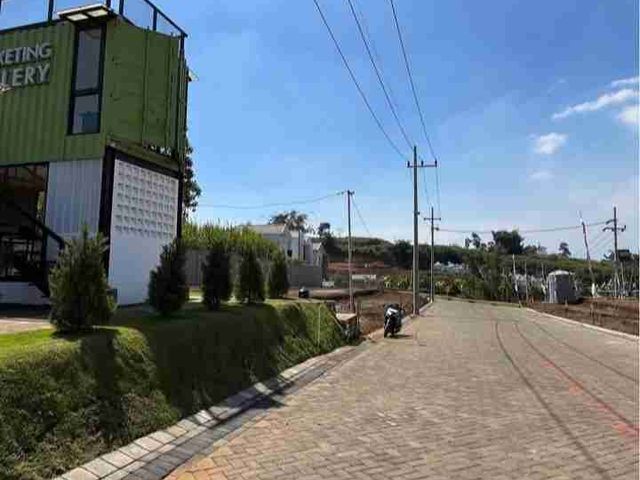 place photo 14