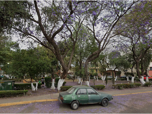 place photo 54