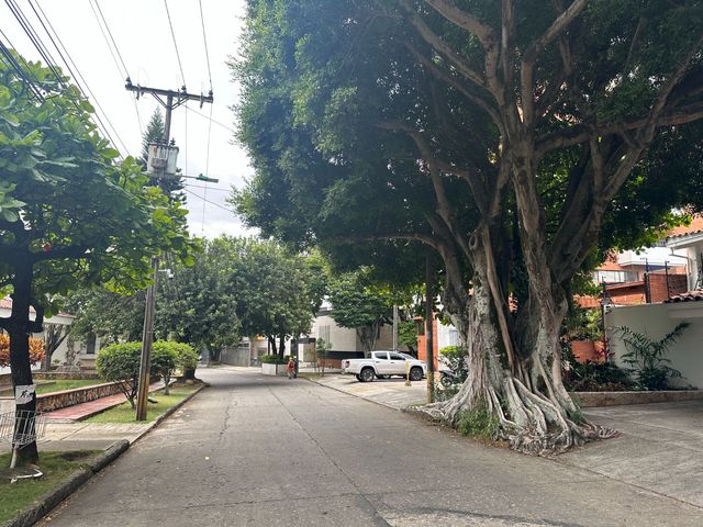 place photo 38