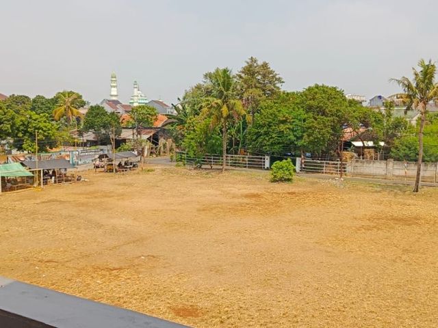 place photo 9