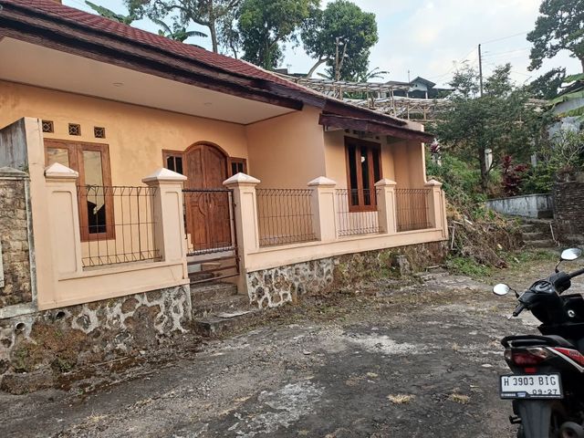 place photo 10