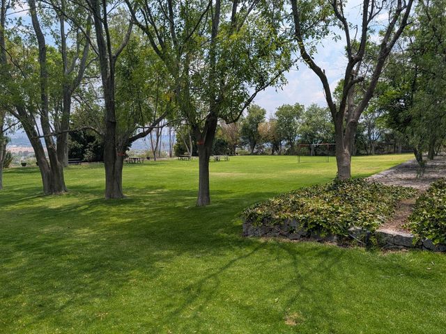 place photo 58