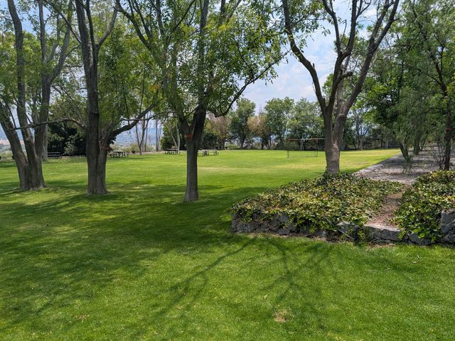 place photo 66