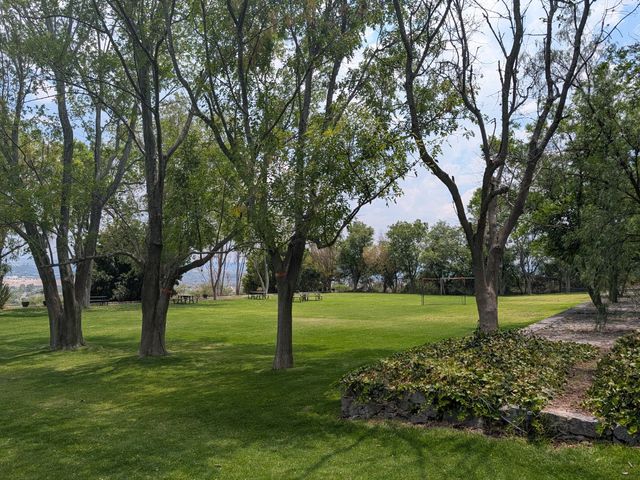 place photo 44