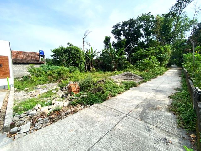 place photo 5