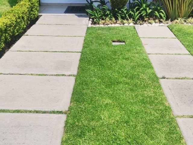 place photo 55