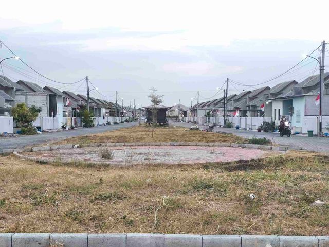place photo 14