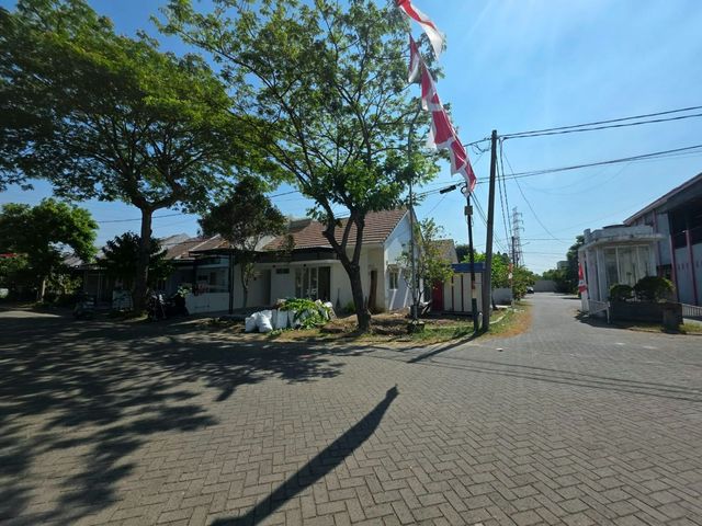 place photo 16