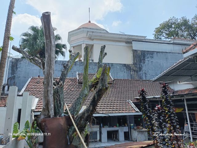 place photo 12