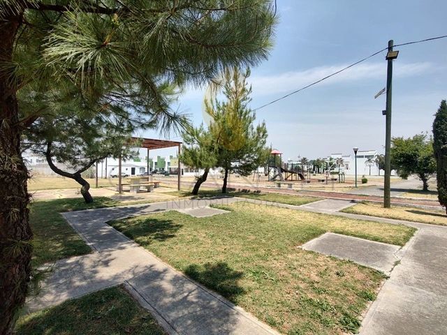 place photo 41