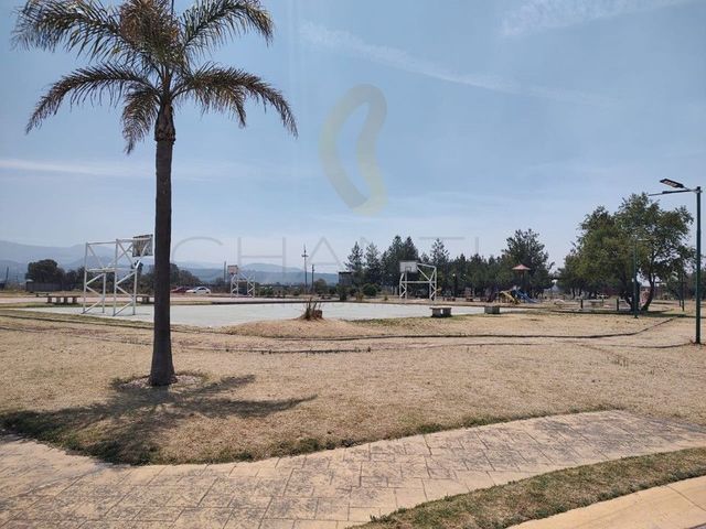 place photo 42