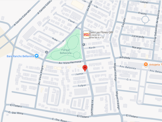 place photo 10