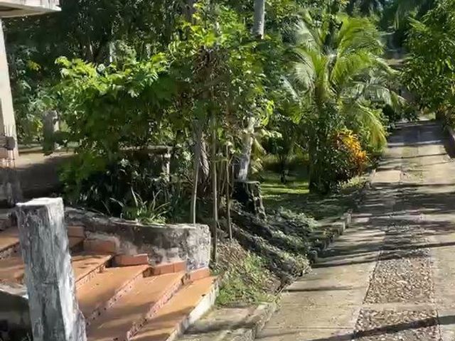 place photo 36