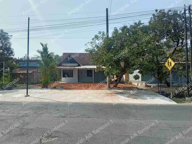 place photo 7