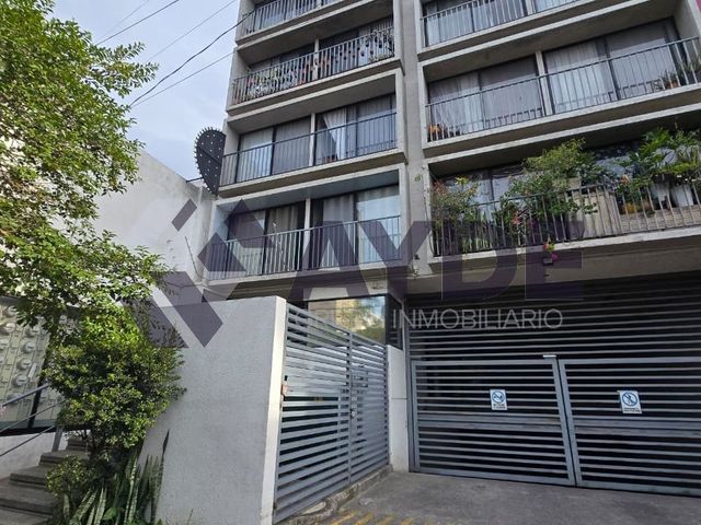 place photo 23