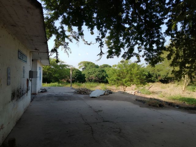 place photo 11