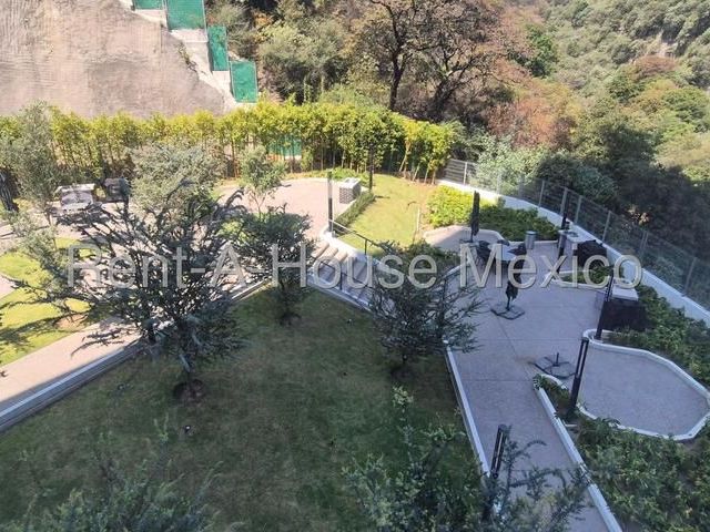 place photo 31