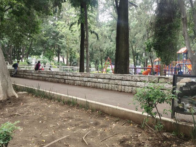 place photo 16