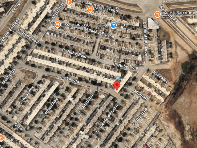 place photo 12