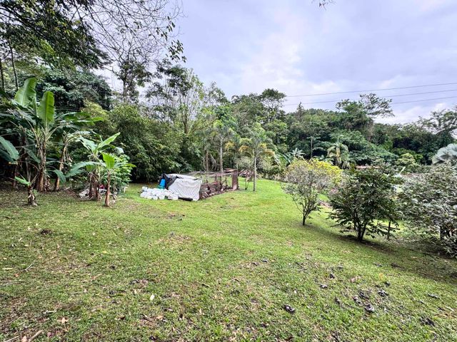 place photo 49