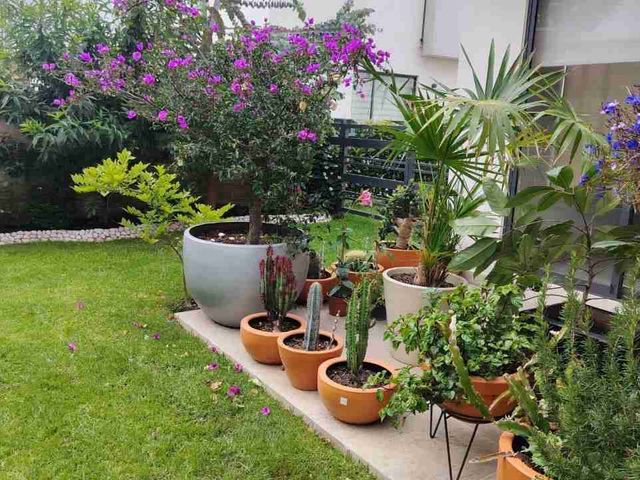 place photo 36