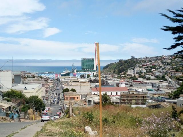 place photo 24