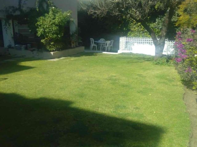 place photo 44